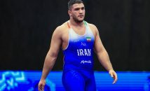 ابوالفضل محمدنژاد