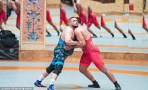 فردین هدایتی